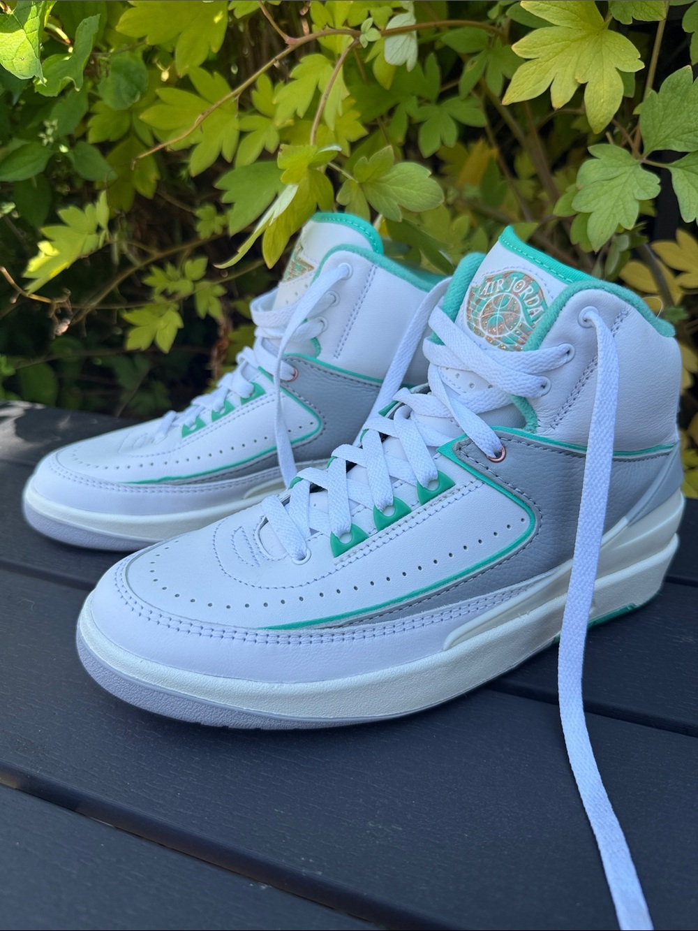 Brand New without tags Jordan shoes